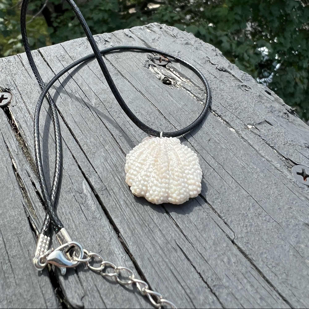 Shell Necklace